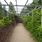 Durchblick am "Weinberg" in Wörlitz