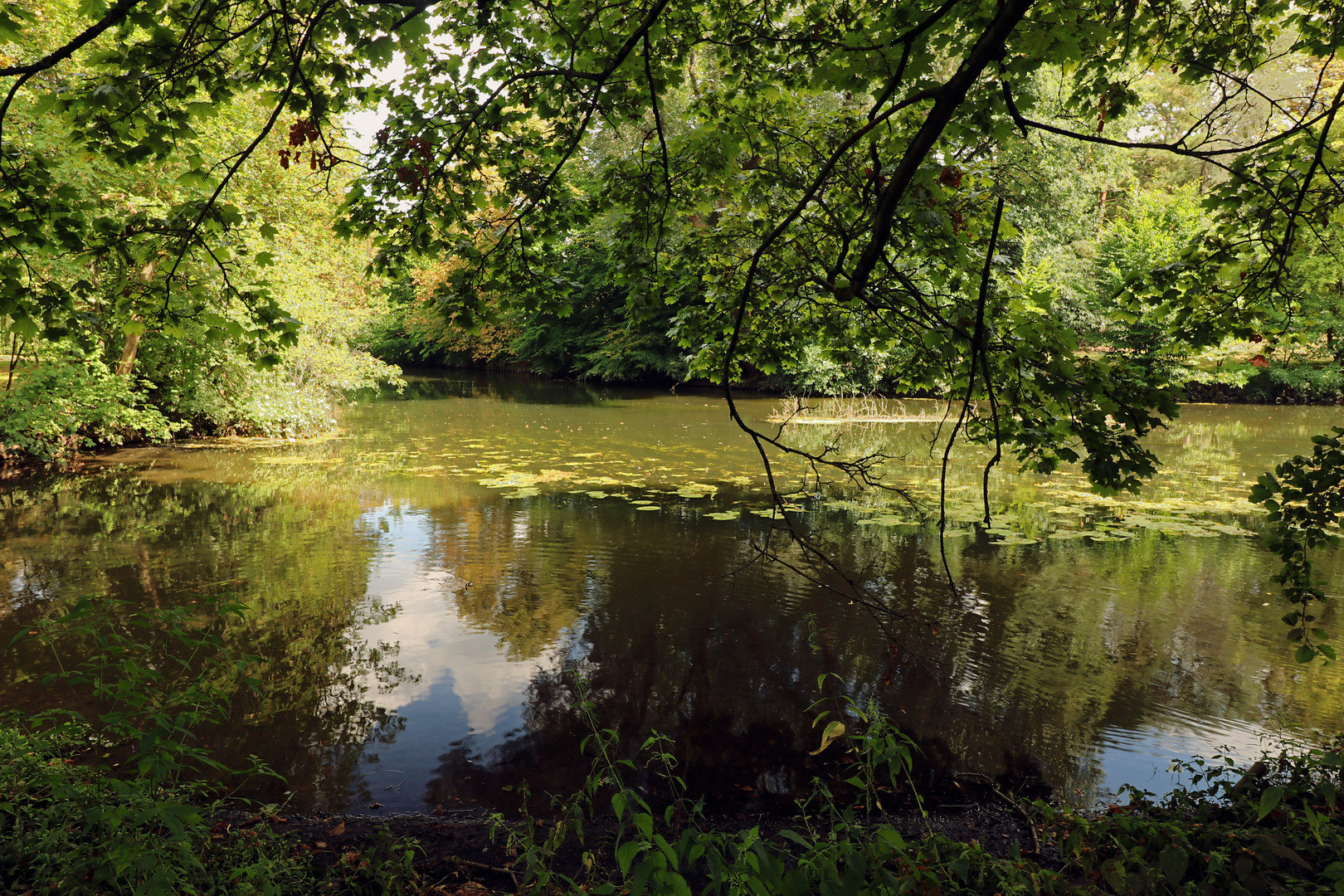 Durchblick an der Flussbiegung