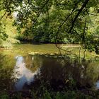 Durchblick an der Flussbiegung