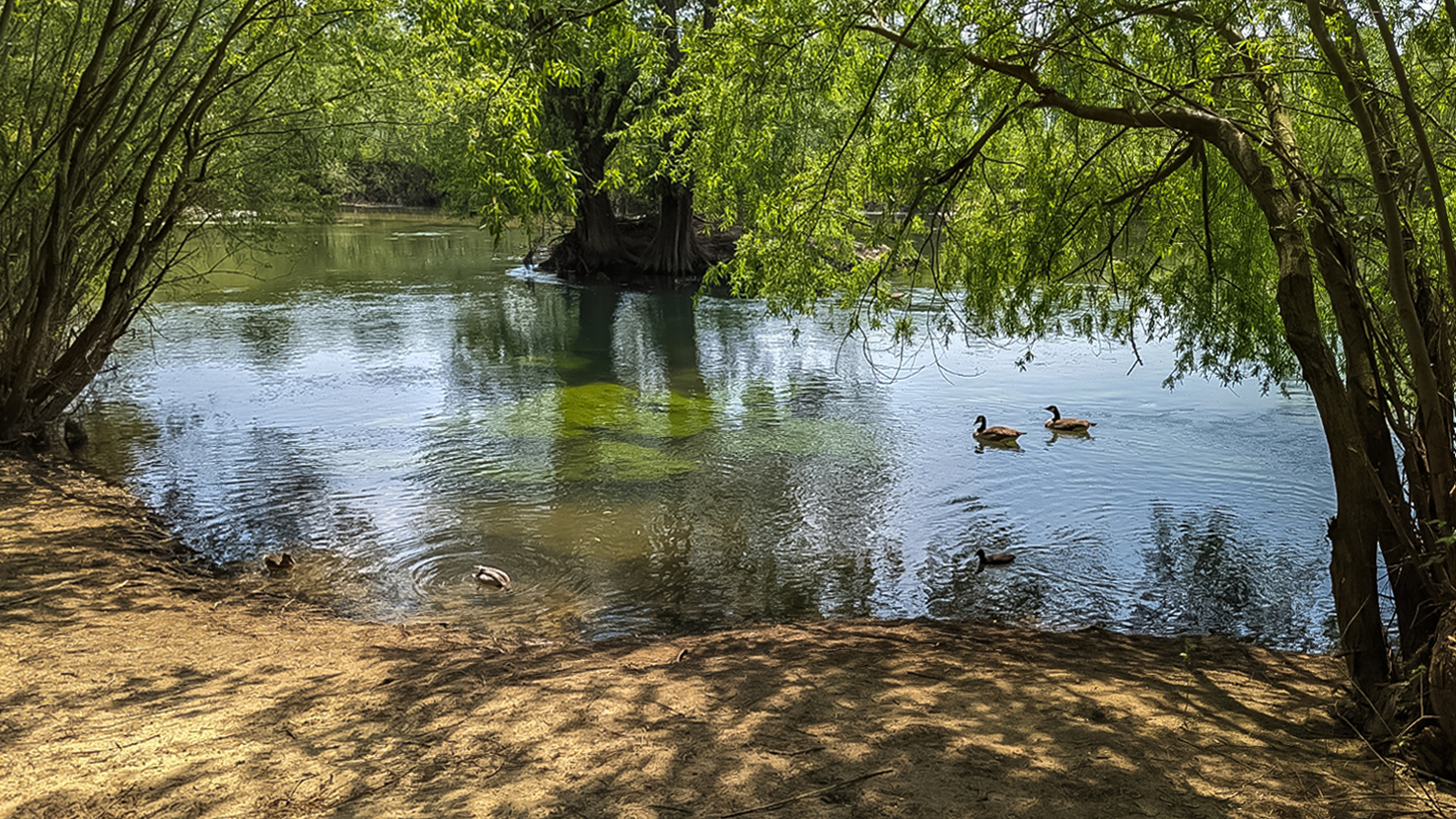 Durchblick an der Lippe