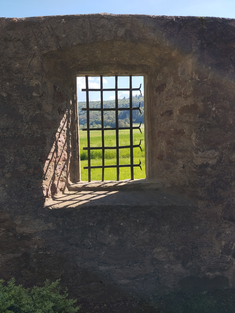 Durchblick an der Mauer von Schloss Aschach 