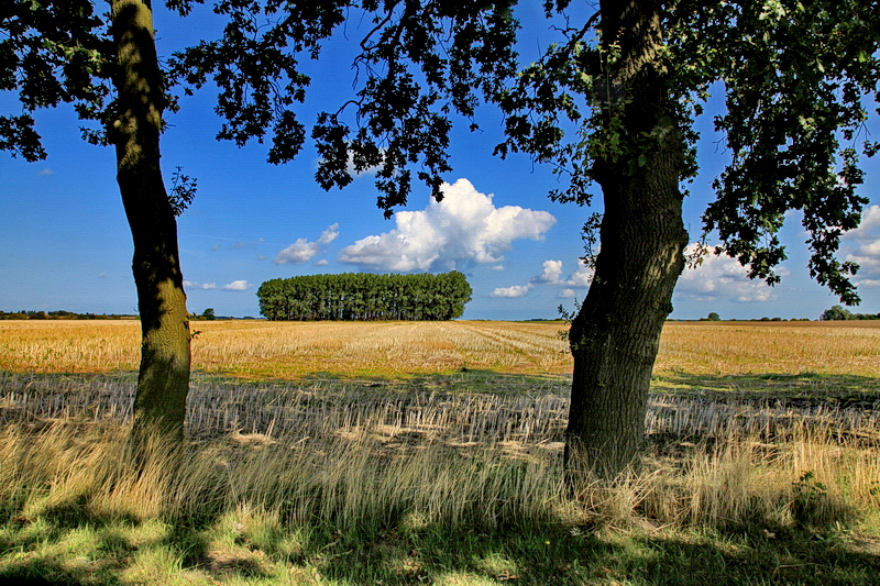 Durchblick auf abgeerntete Felder...