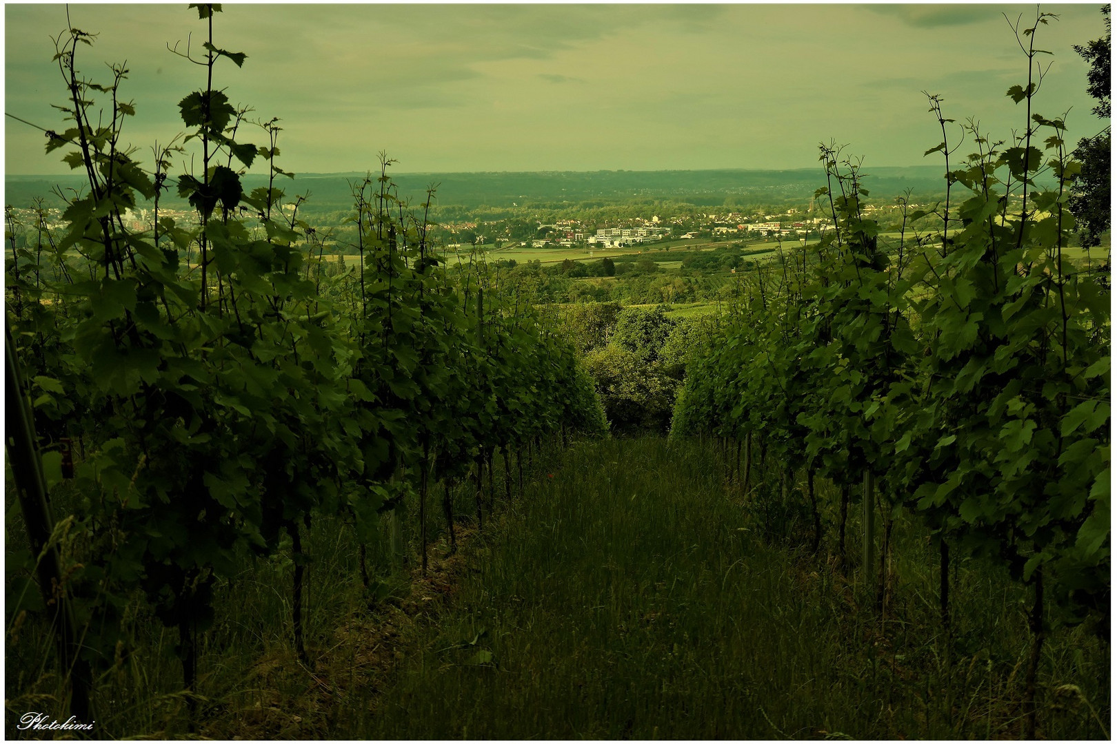 Durchblick auf das ferne Städtchen am Rhein