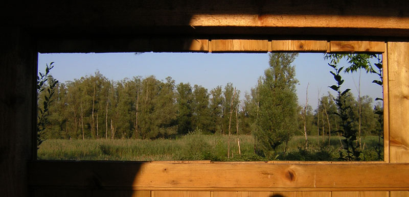 Durchblick auf das Naturschutzgebiet bei Haiming