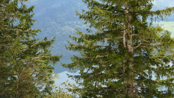 Durchblick auf das Wasser