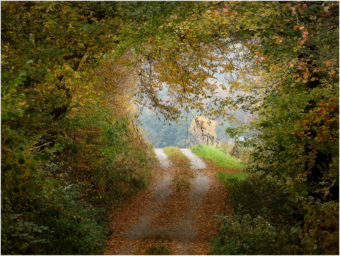 Durchblick auf dem Weg ins Tal