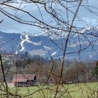 Durchblick auf den Allgäuer Hochalpen.