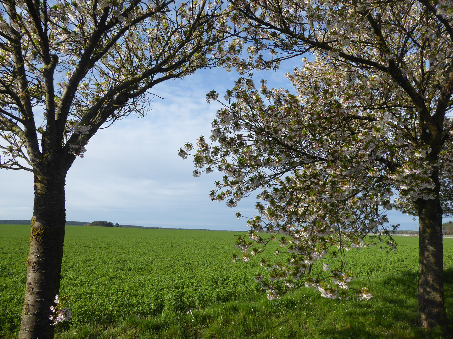 Durchblick auf den blauen Himmel