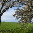 Durchblick auf den blauen Himmel