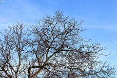 Durchblick auf den blauen Himmel 