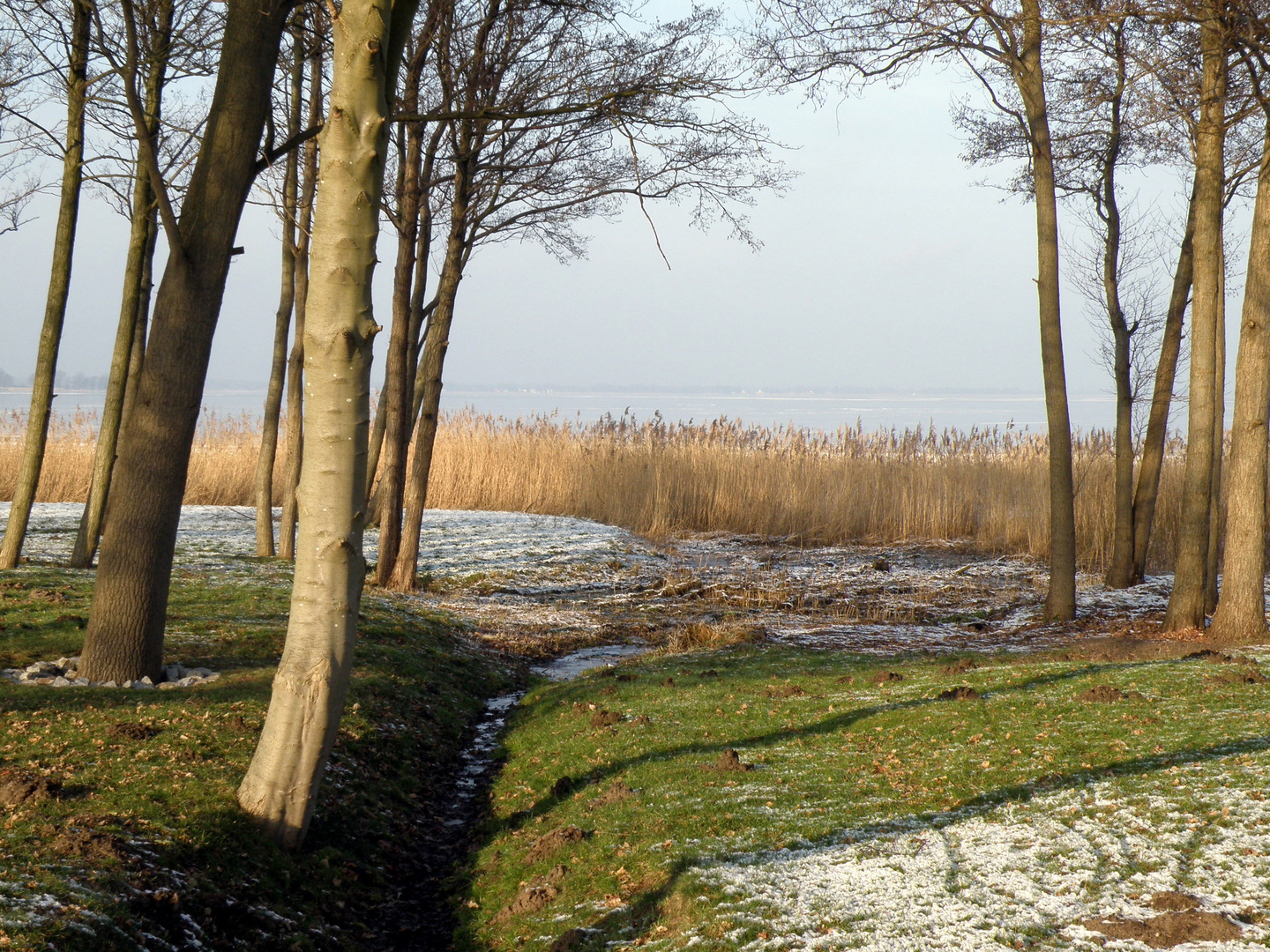 Durchblick auf den Bodtstedter Bodden