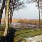 Durchblick auf den Bodtstedter Bodden