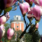 Durchblick auf den Elisenturm