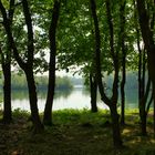 Durchblick auf den Erlensee