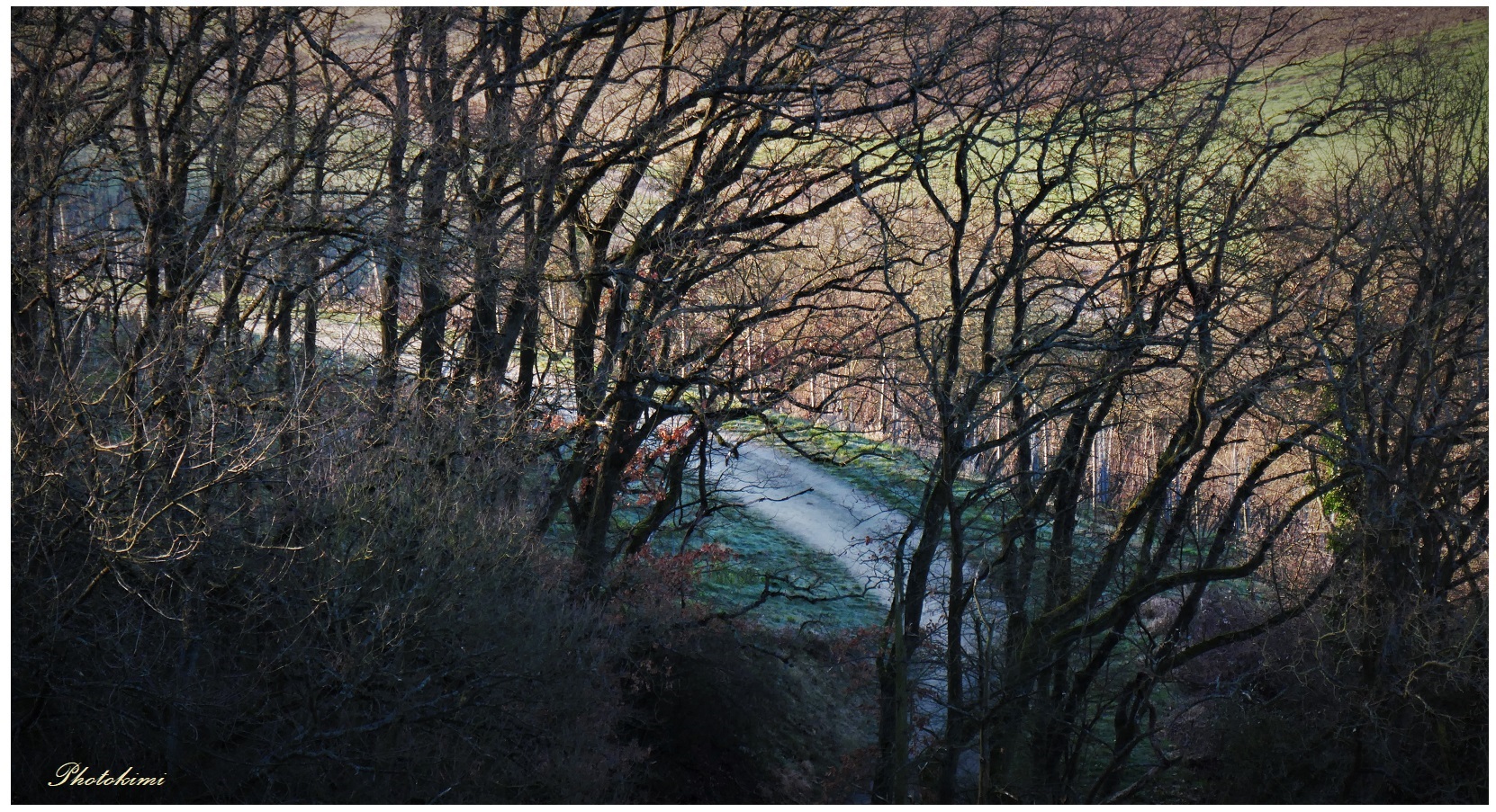 Durchblick auf den Feldweg