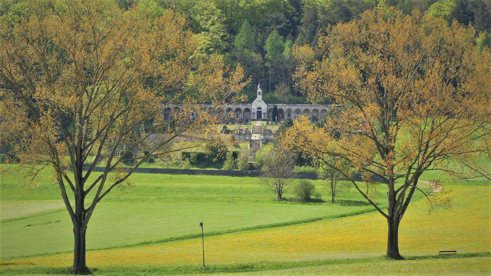 Durchblick auf den Friedhof