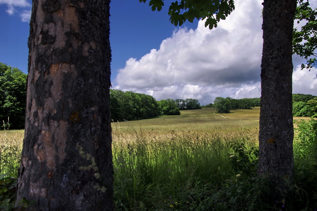 Durchblick auf den Gielsberg