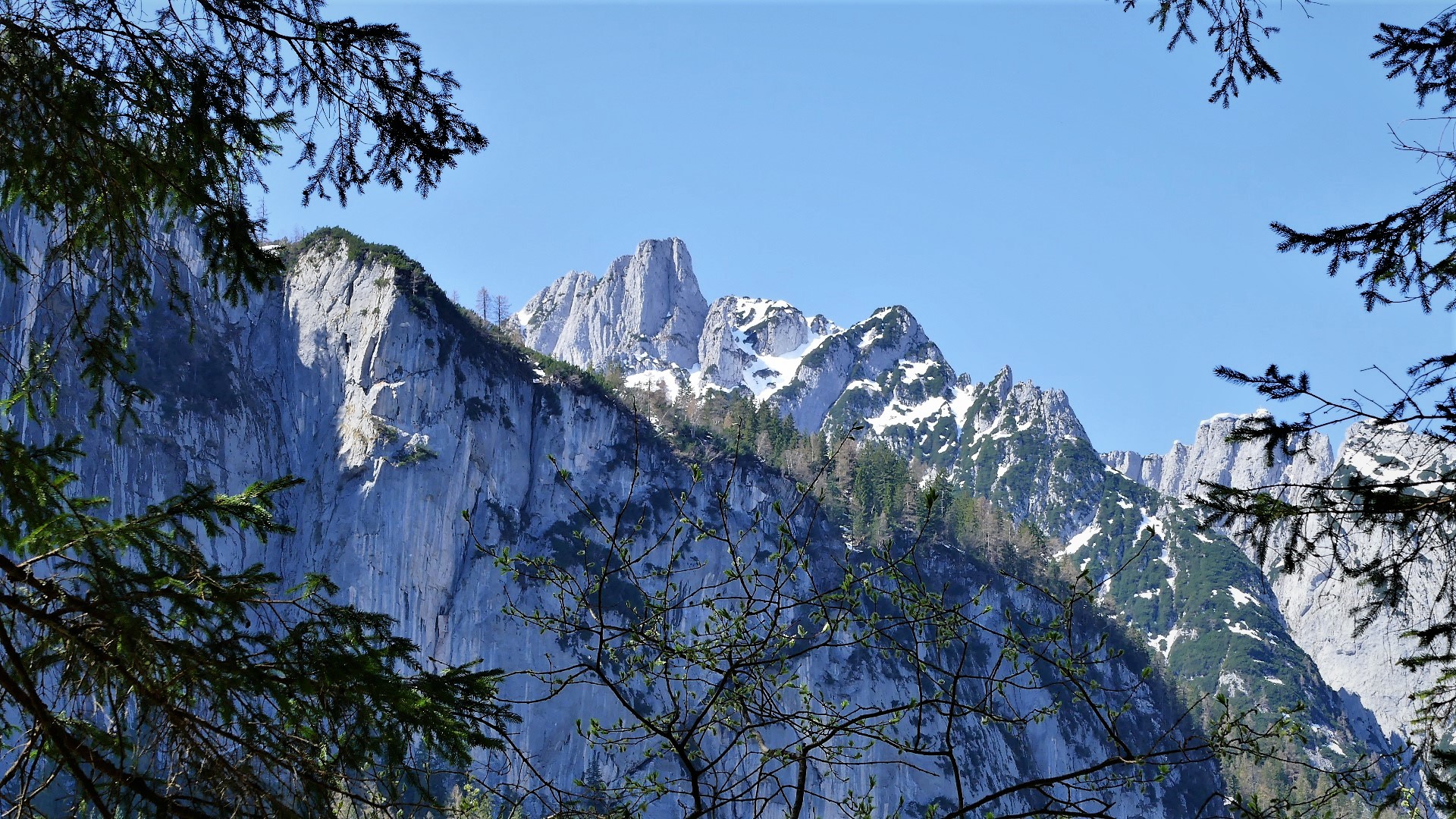 Durchblick auf den Gosaukamm