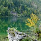 Durchblick auf den Gosausee