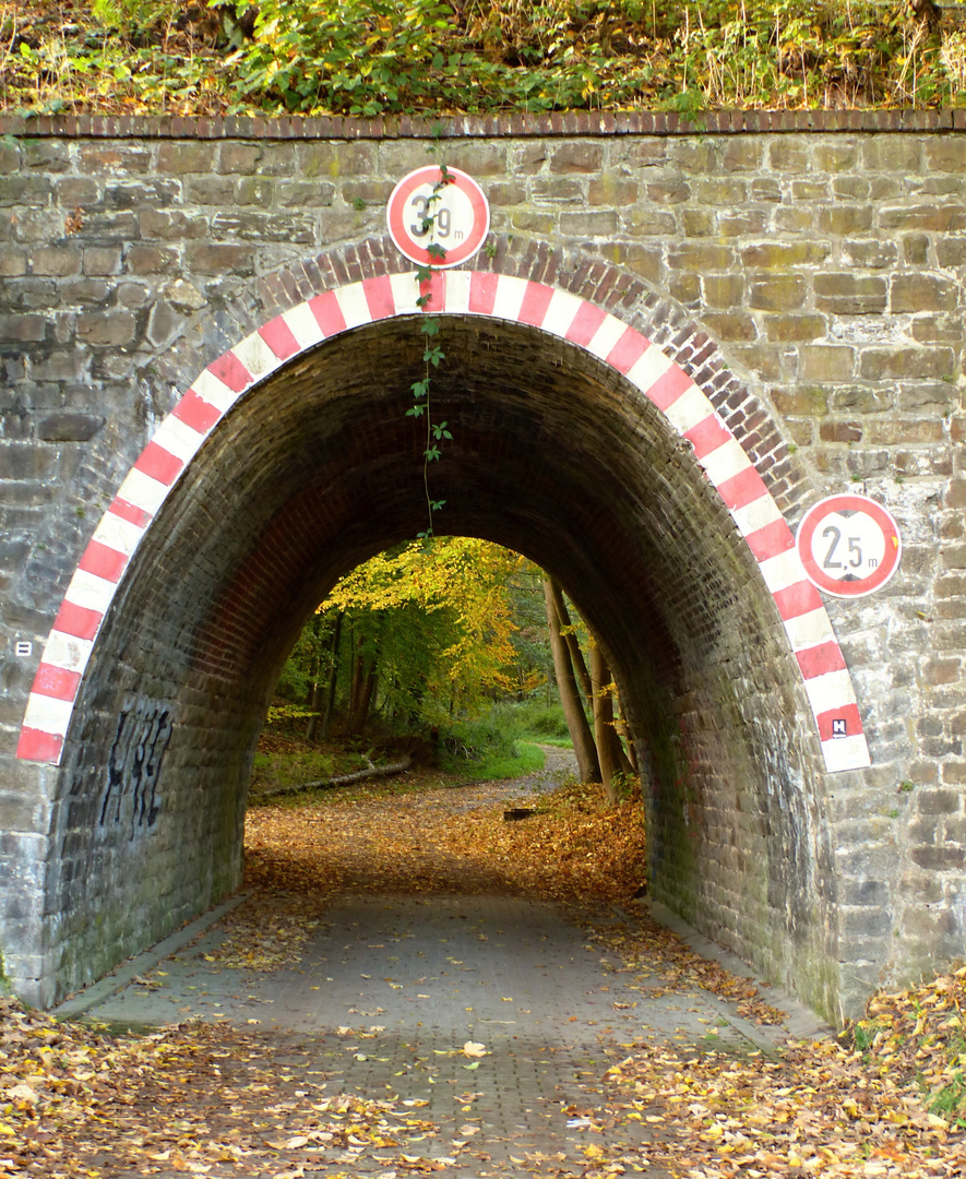 Durchblick auf den Herbst