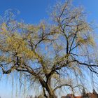 Durchblick auf den Himmel