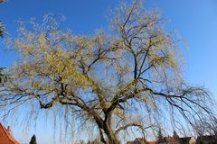 Durchblick auf den Himmel