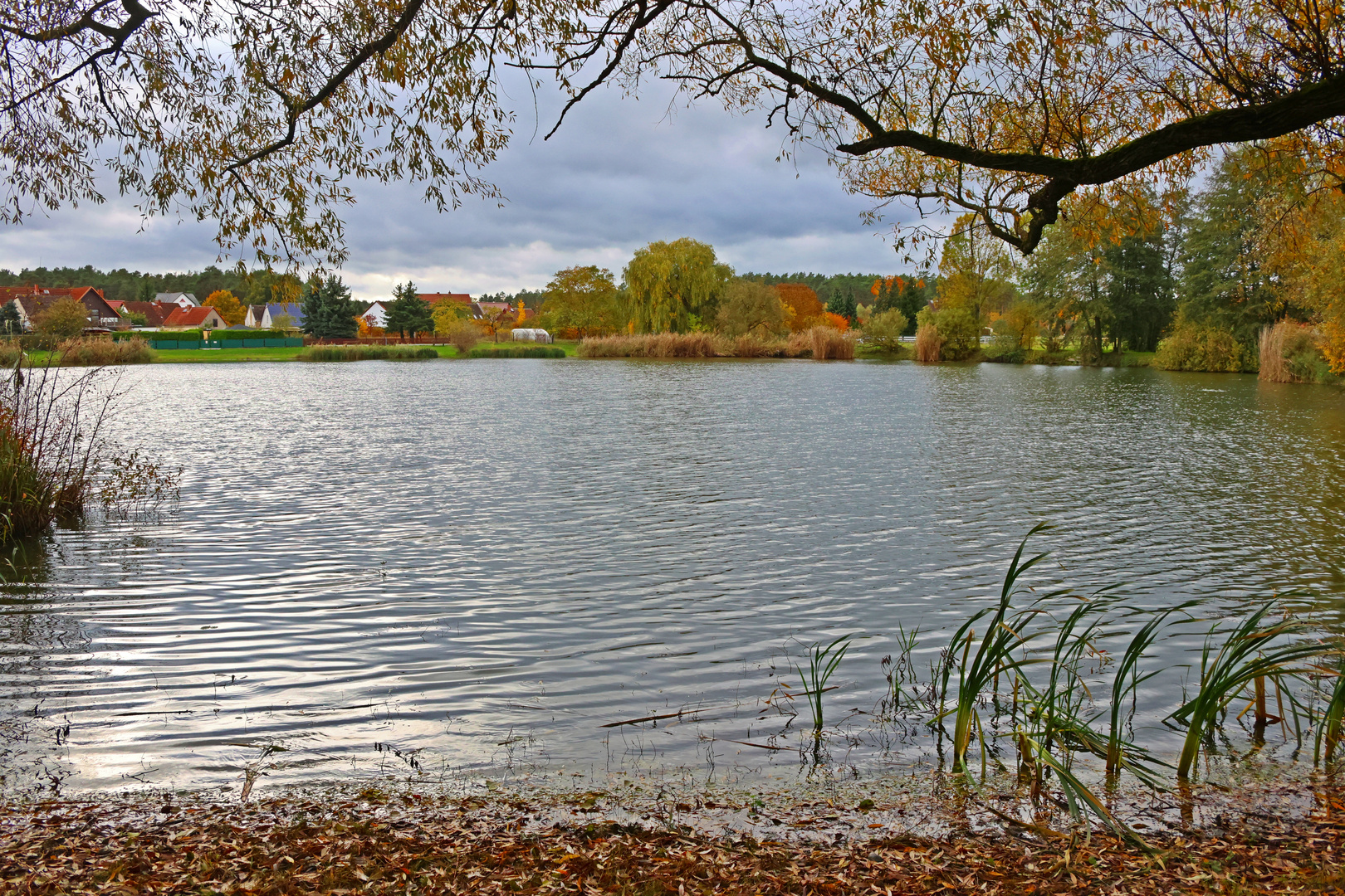 Durchblick auf den Jeseriger See