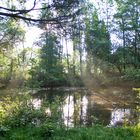 Durchblick auf den kleinen Teich