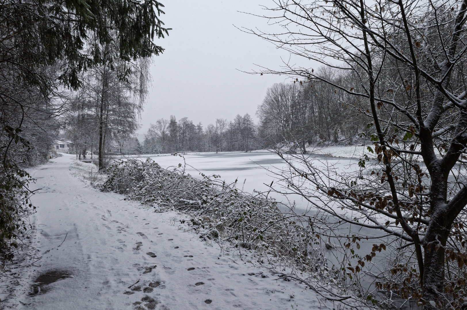 Durchblick auf den Lasbachweiher