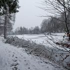 Durchblick auf den Lasbachweiher