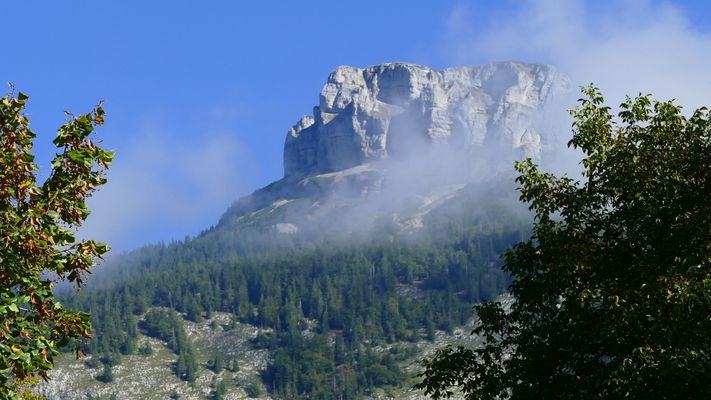 Durchblick auf den Loser
