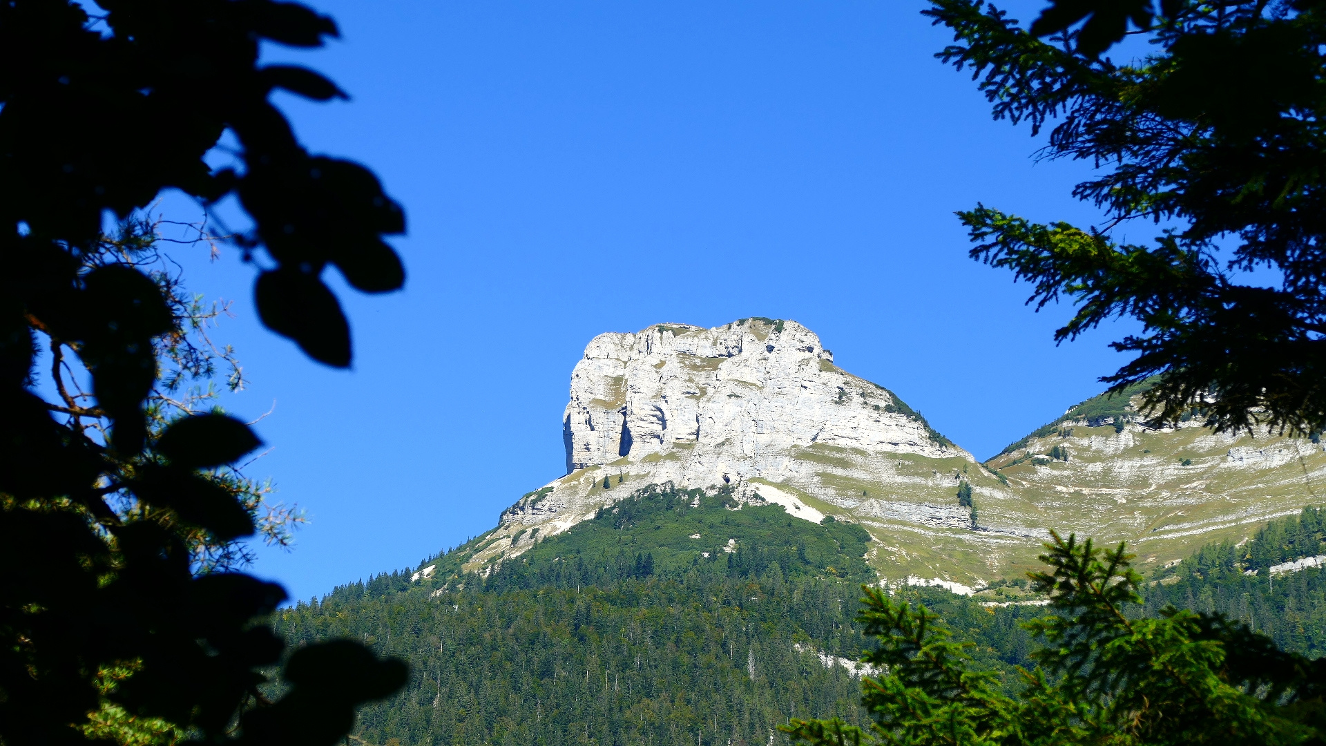 Durchblick auf den Loser