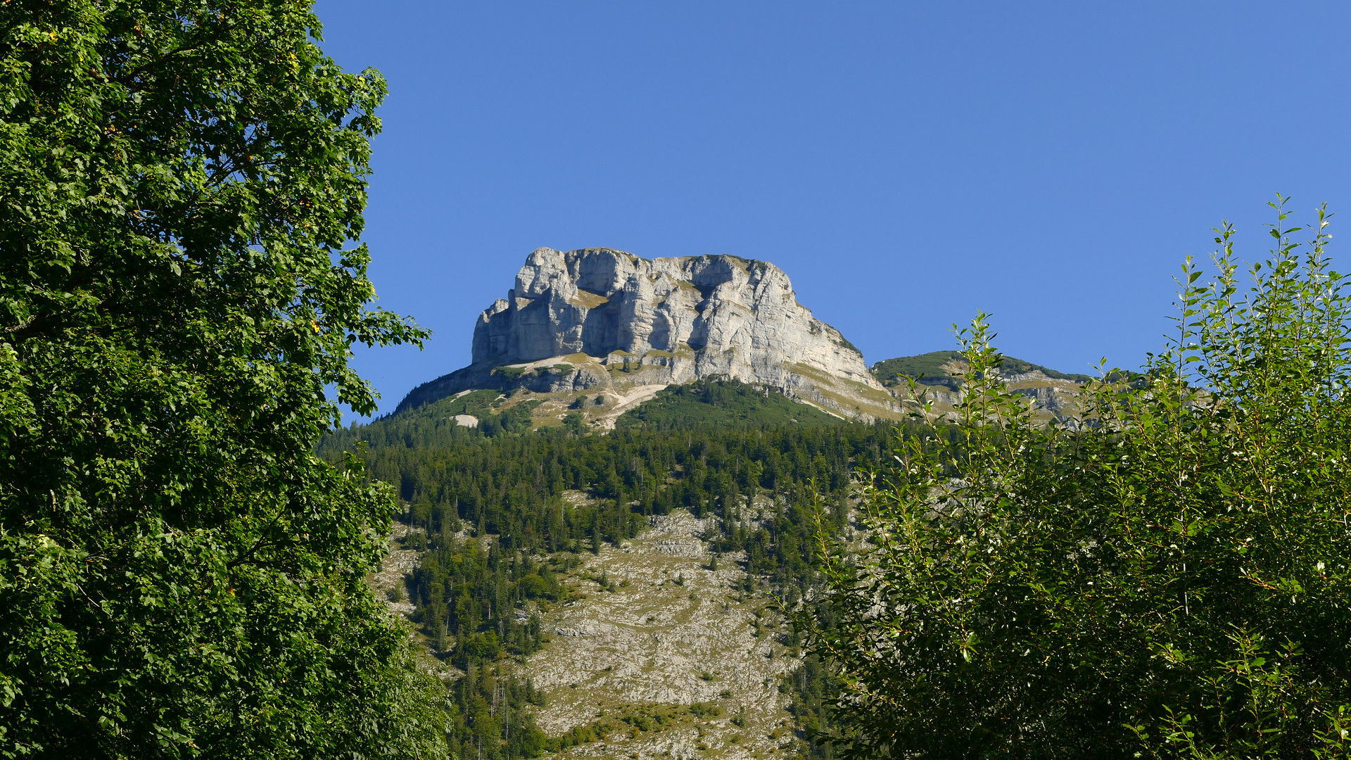 Durchblick auf den Loser