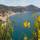 Durchblick auf den Maronti-Strand