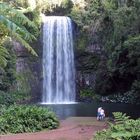 Durchblick auf den Millaa Millaa Waterfall