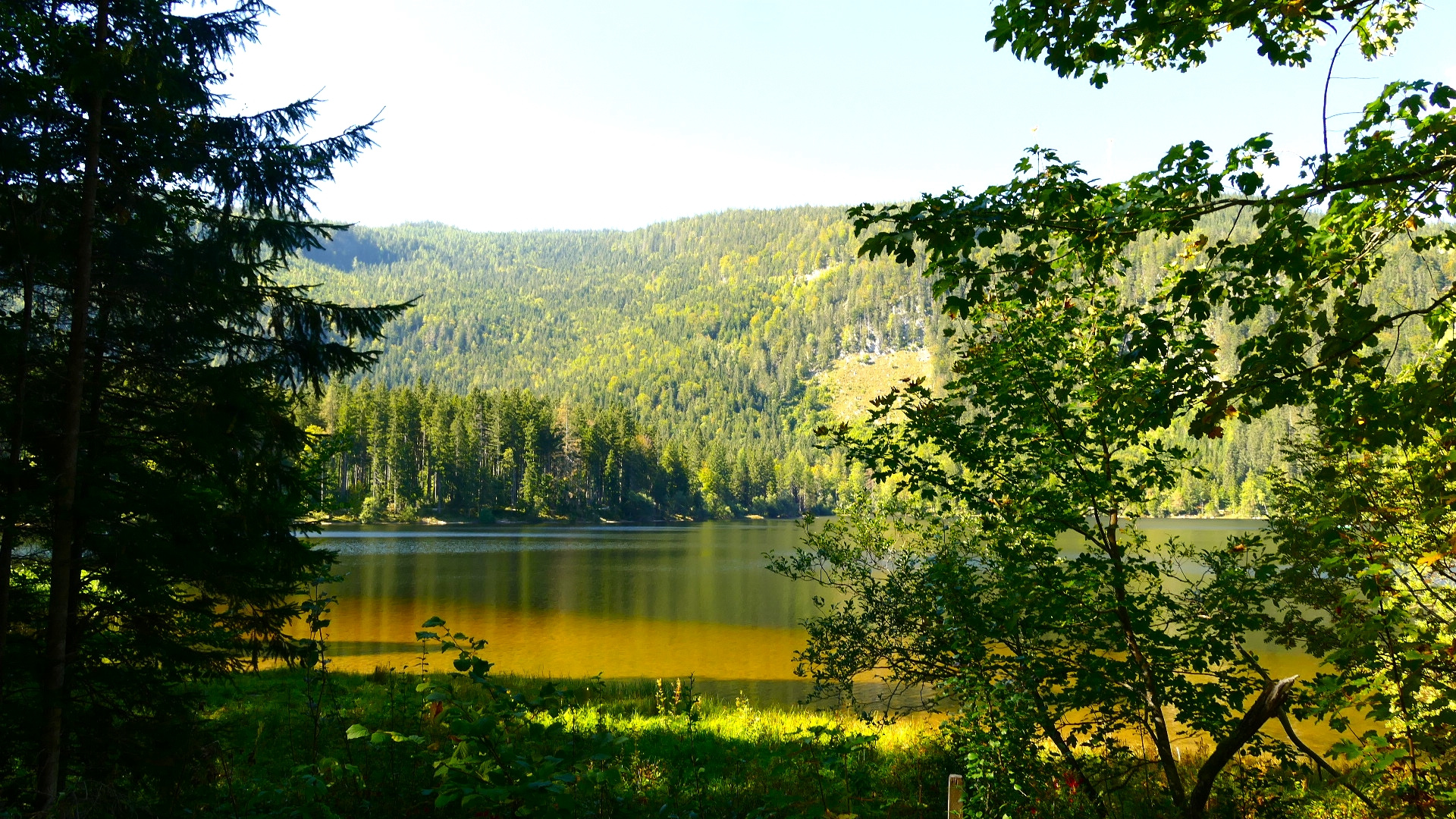 Durchblick auf den Ödensee