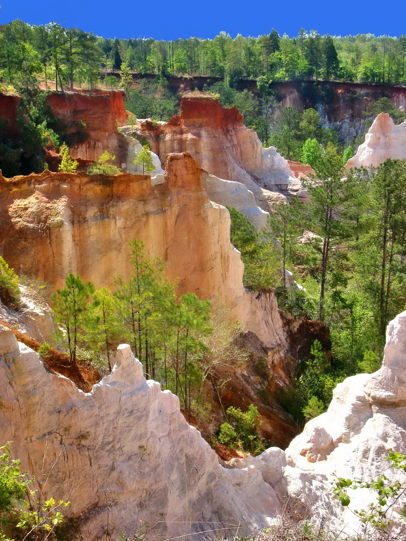 Durchblick auf den Providence Canyon in Georgia