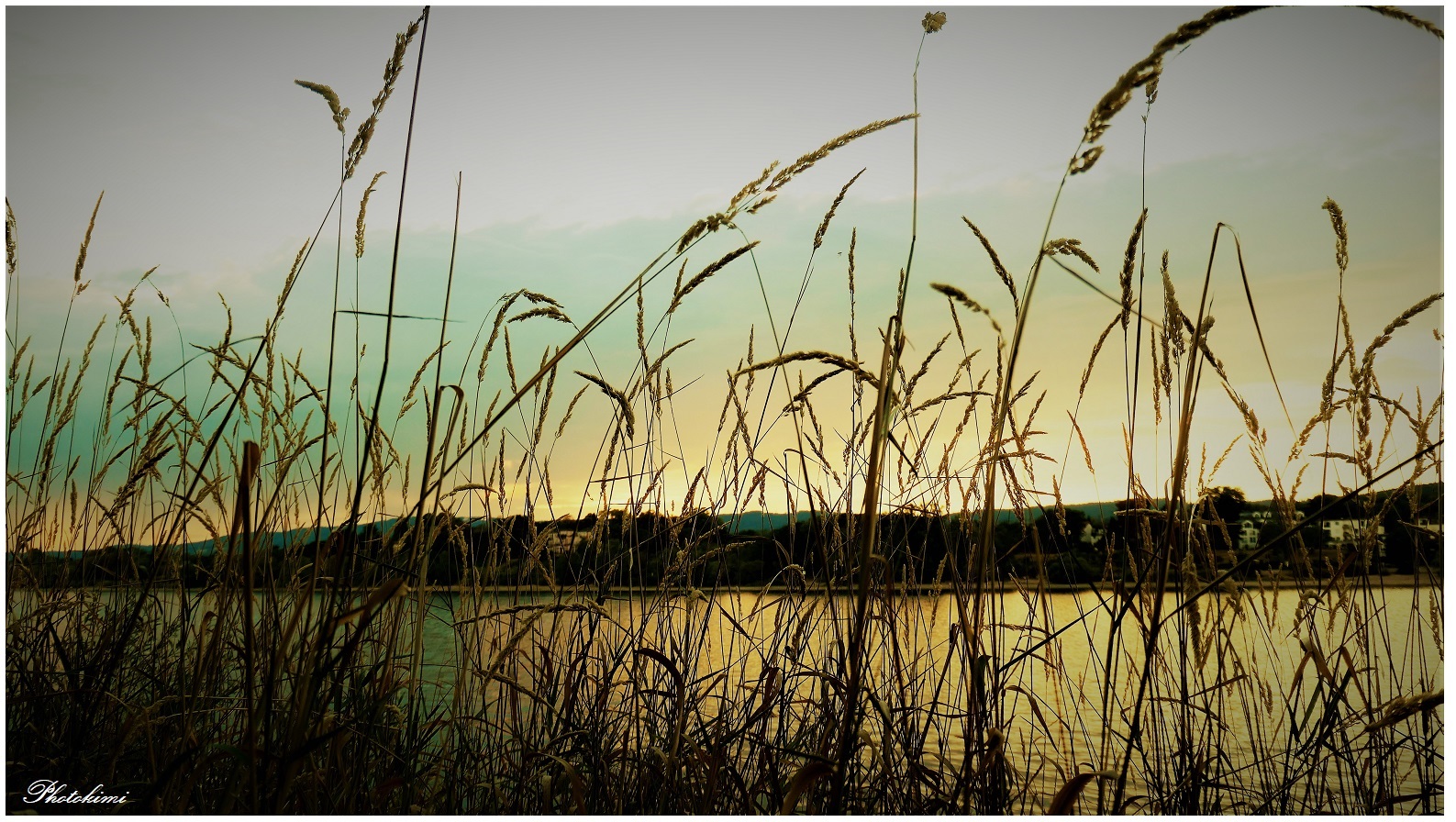 Durchblick auf den Rhein 