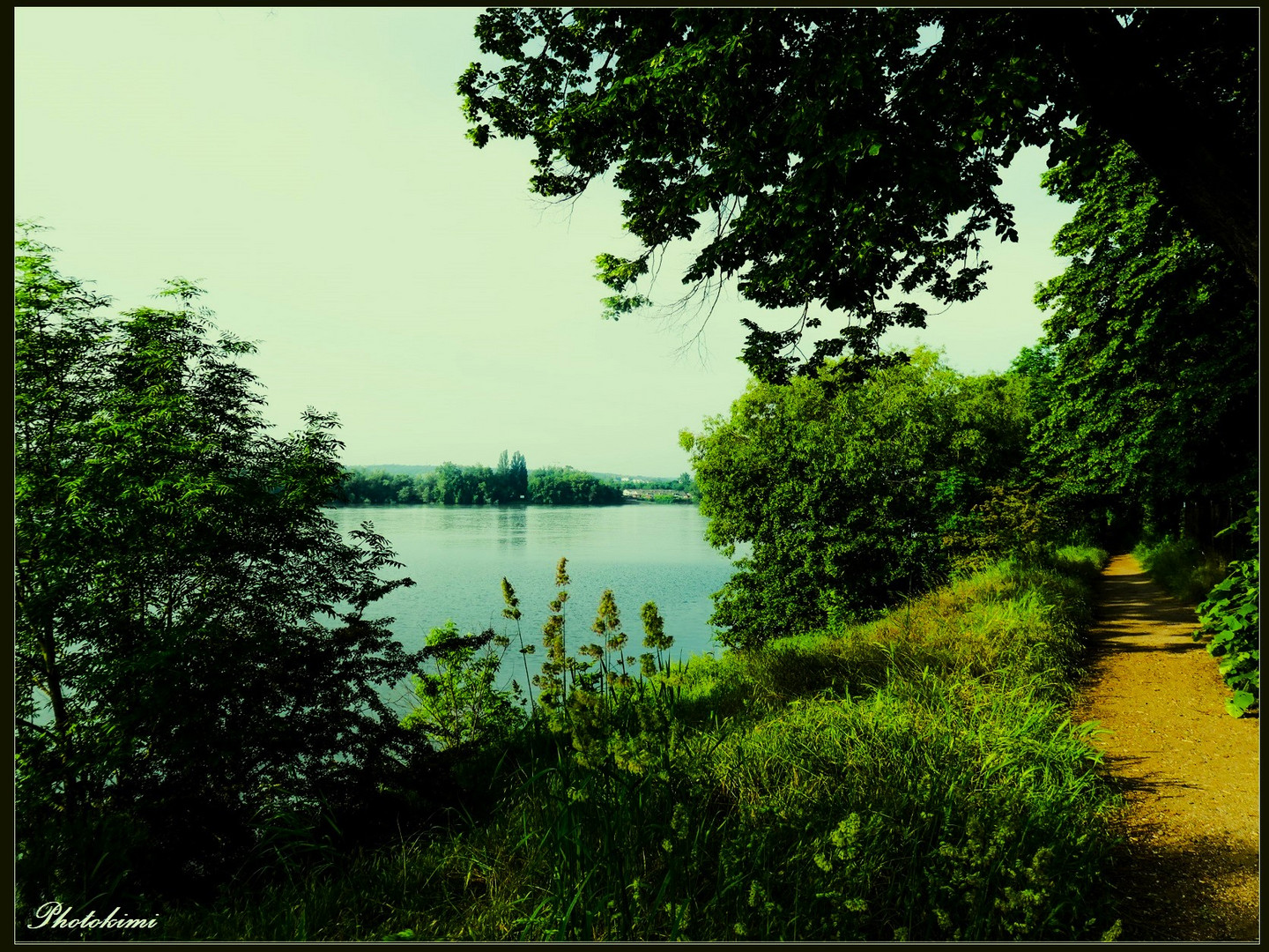 Durchblick auf den Rhein