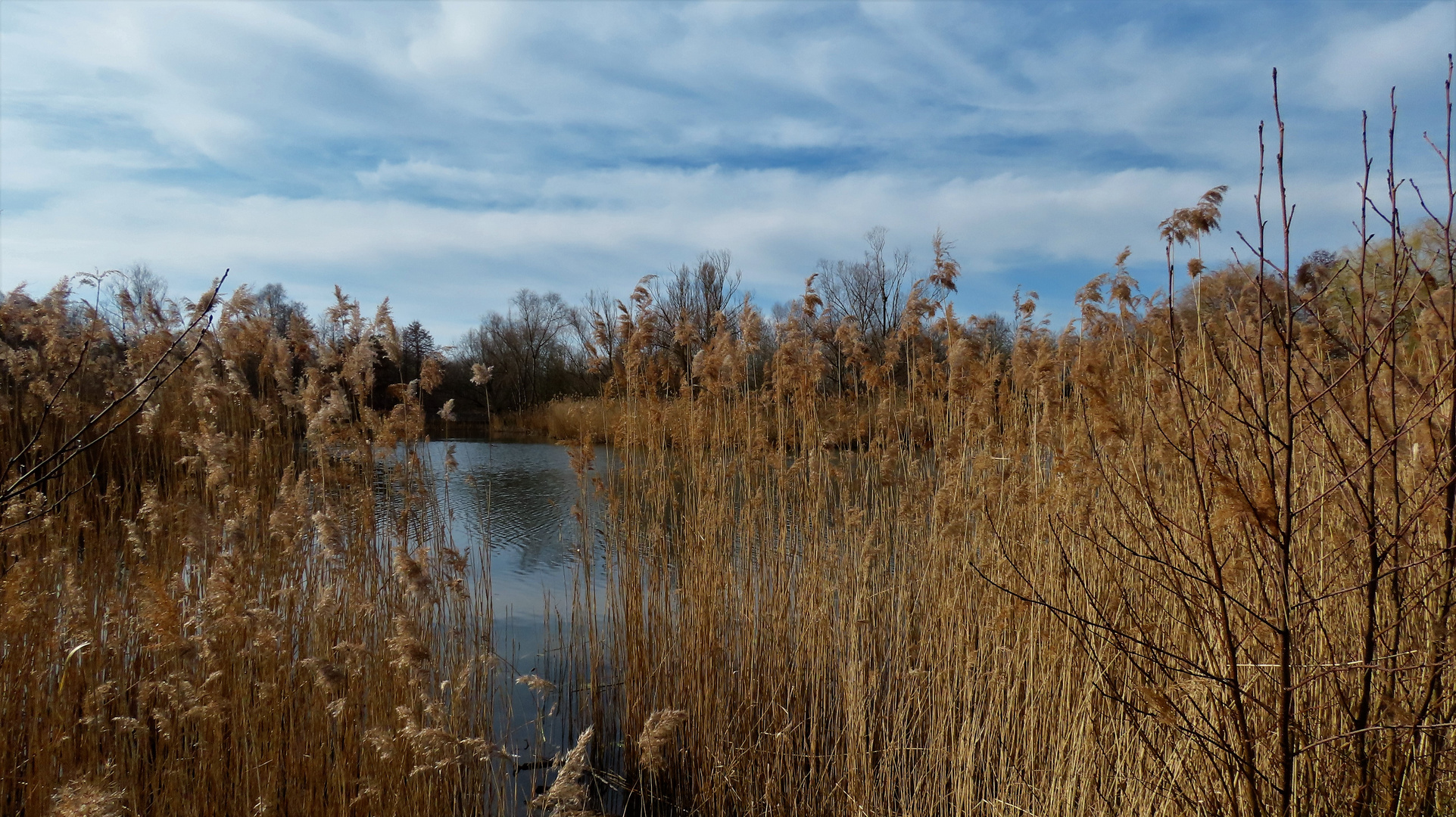 Durchblick auf den See