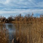 Durchblick auf den See