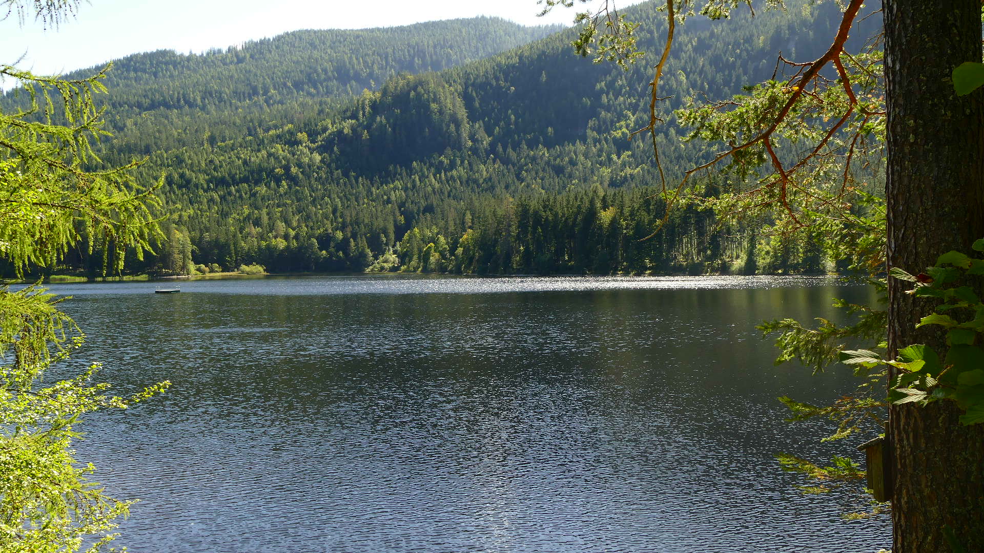 Durchblick auf den Silbersee