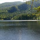 Durchblick auf den Silbersee