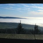 Durchblick auf den Steinwald