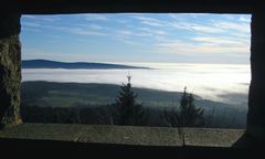 Durchblick auf den Steinwald