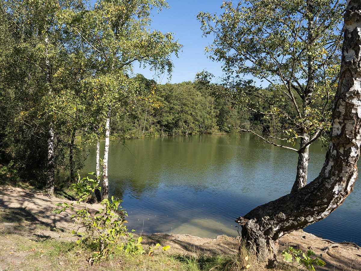 Durchblick auf den Stellbergsee