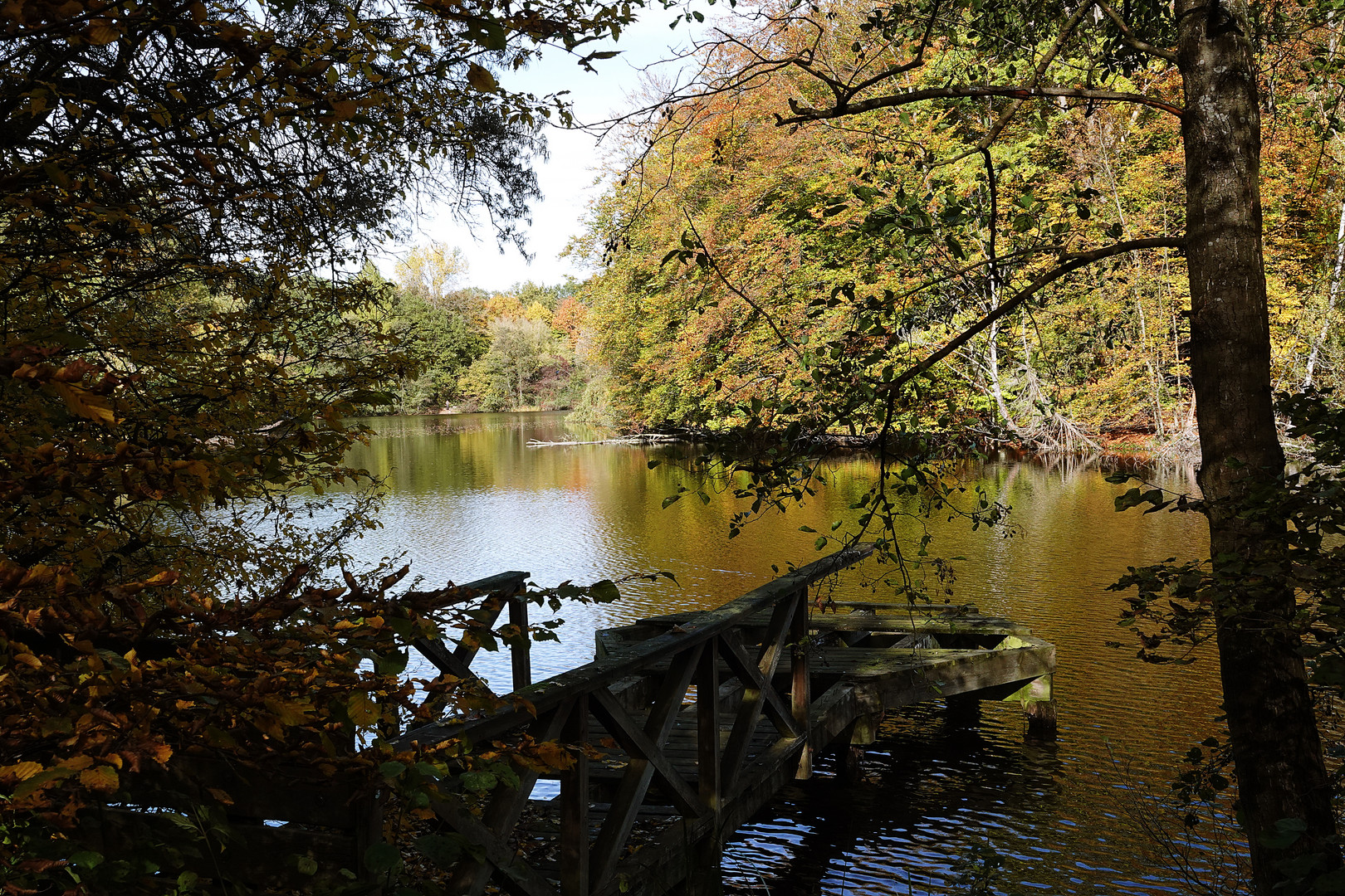 Durchblick auf den Teich