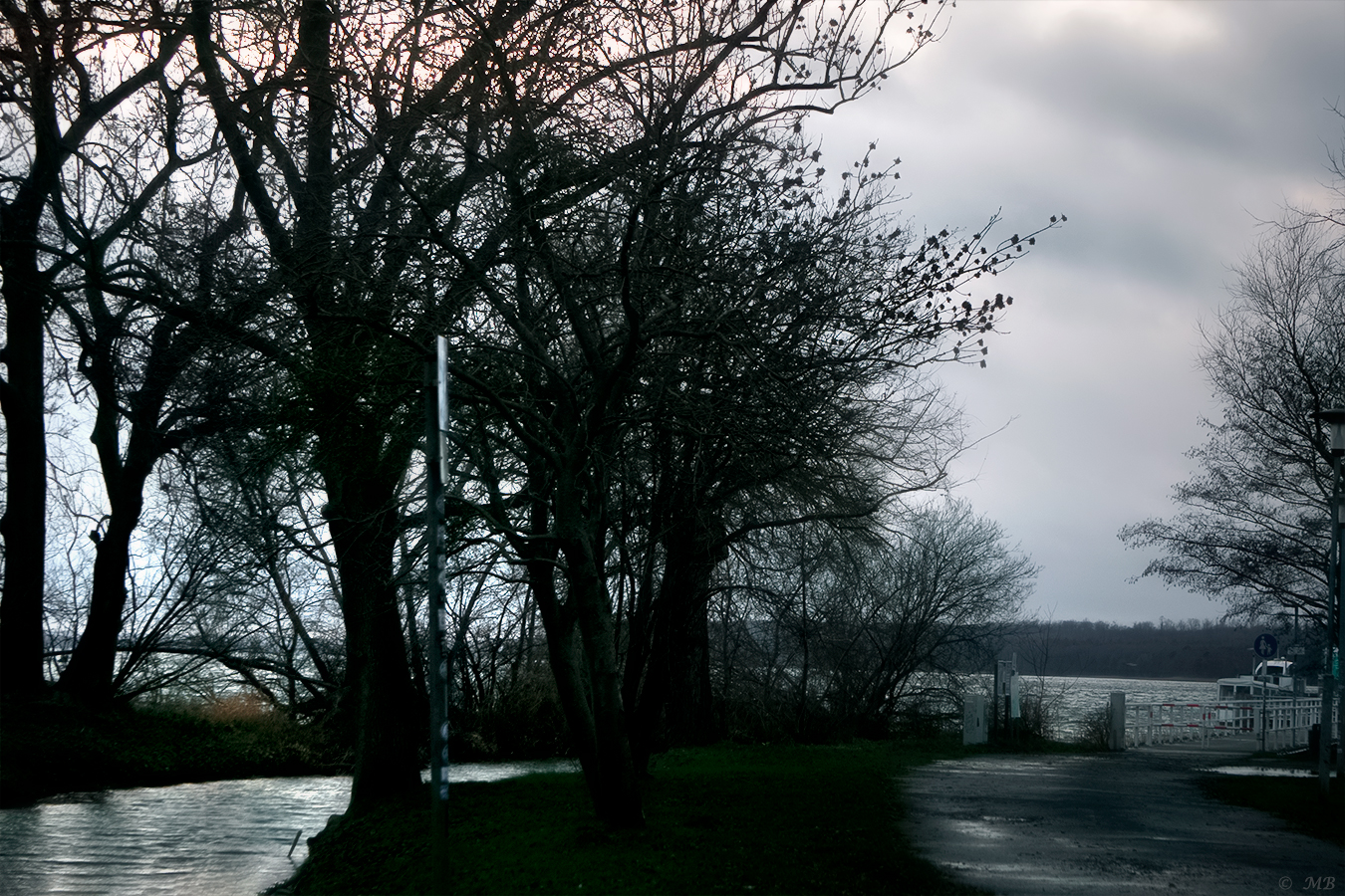 Durchblick auf den Tollensesee