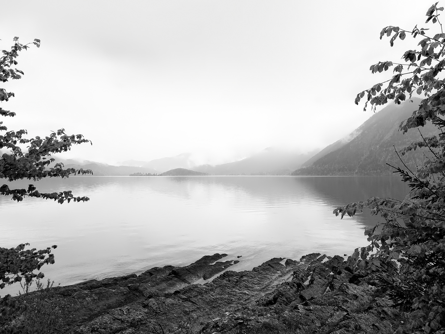 Durchblick auf den Walchensee II