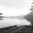 Durchblick auf den Walchensee II